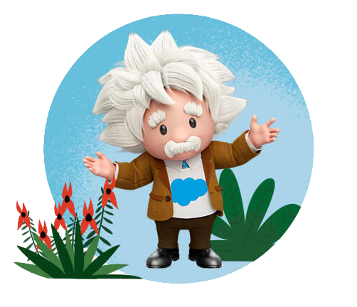 Salesforce Marketing Cloud Eleve Suas Estratégias